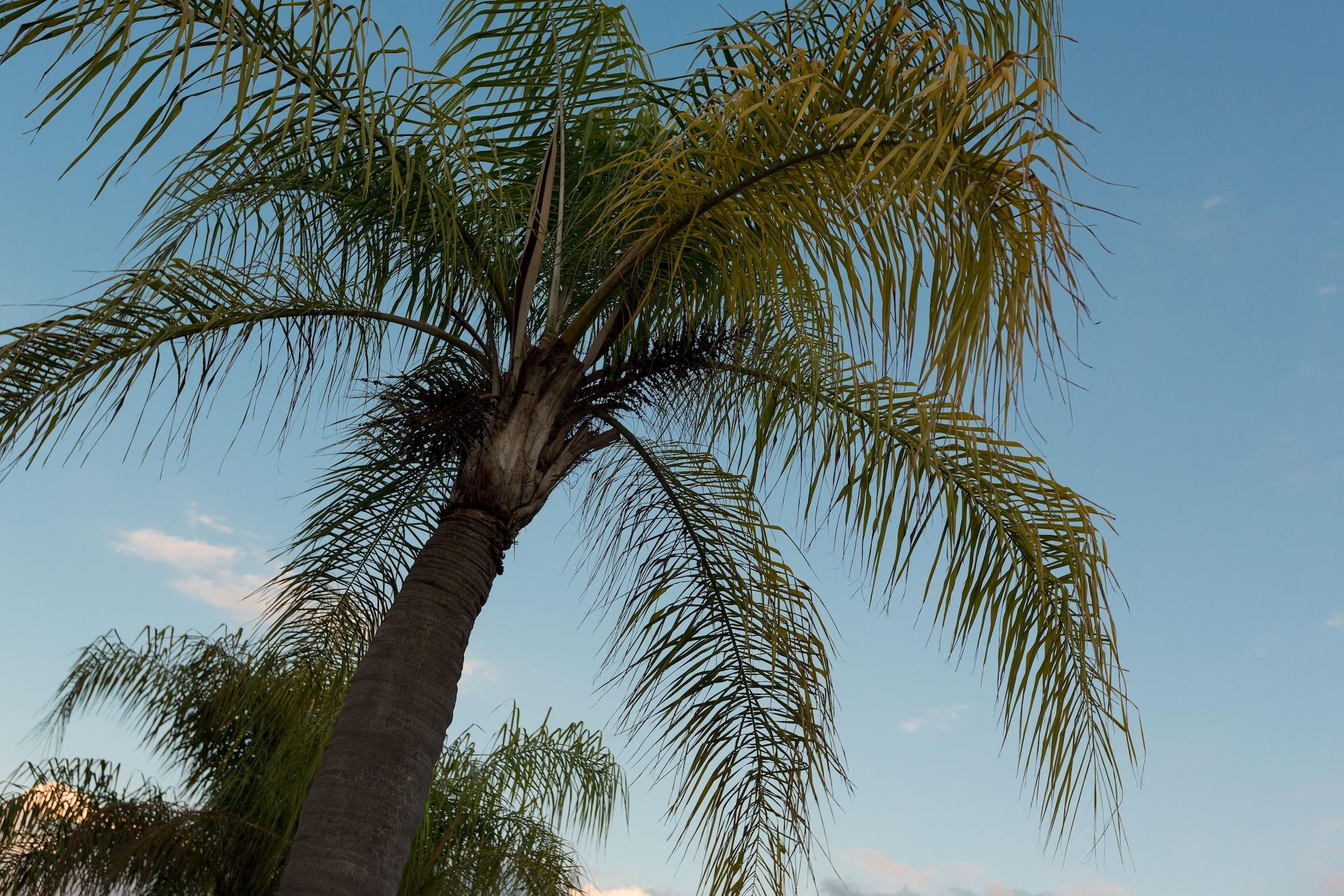 Maingate Lakeside Resort Four Corners Esterno foto
